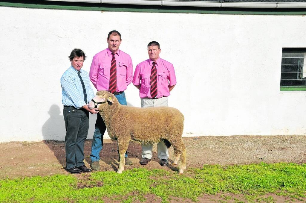 PRIME BUY: Lawral Park Prime SAMM principal Campbell Lawrie with his sale’s $4000 top-price ram, and auctioneers Elders livestock manager lower Eyre Peninsula Paul Kilby and stud stock manager SA Tony Wetherall.