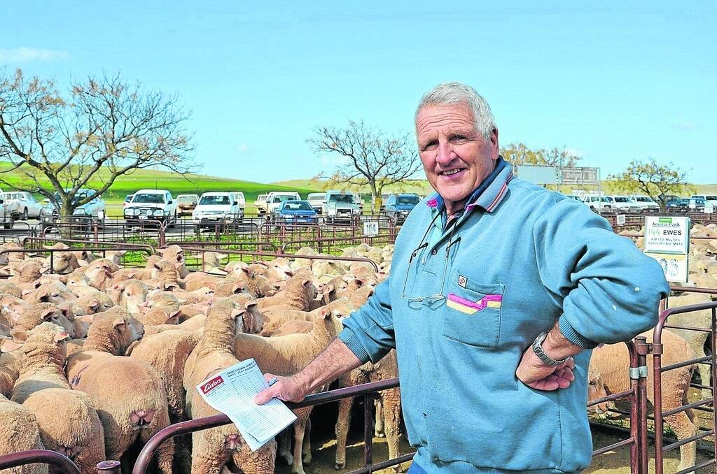FLOCK DISPERSAL: John Casey, Amelia Park, Peterborough, was looking forward to his dispersal sale of 1.5-year-old and 5.5yo ewes at Jamestown. The young ewes made to $148 and the older matrons $96.