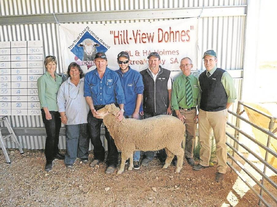 NEW SIRE: Landmark's Rachelle Montgomerie with Hill View Dohne stud principals Heather, Peter and Robert Holmes, Streaky Bay; buyer of the top-price ram Paul Webb, Eagle Bay Dohnes, Cowell; and Landmark Streaky Bay's Peter Lawrie and Adrian Dewell.