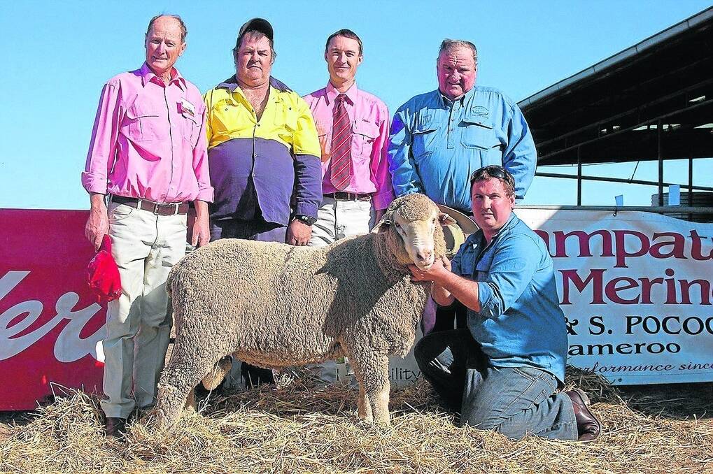 NICE POLL: Lampata’s Robert Pocock holds the $2800 top-price ram at the 28th annual Lampata Poll Merino ram sale. He is with Elders Lameroo manager Pat Larsson, buyer Wayne Gilbertson, Parilla, Elders’ auctioneer Steve Doecke, and Lampata’s Bruce Pocock.