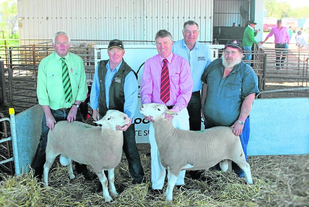 BEST BUYS: Aroona Park White Suffolk Stud client Terry Dodgson (right), Minnipa pictured with his two $1000 top-price rams. Also pictured are Daven Wagner, Landmark, Cowell, Aroona Park stud principal Peter Button, Minlaton, Yorke Peninsula, Braydn Sampson, Elders, Cleve, and Jeff Becker, Quality Livestock, Wudinna.