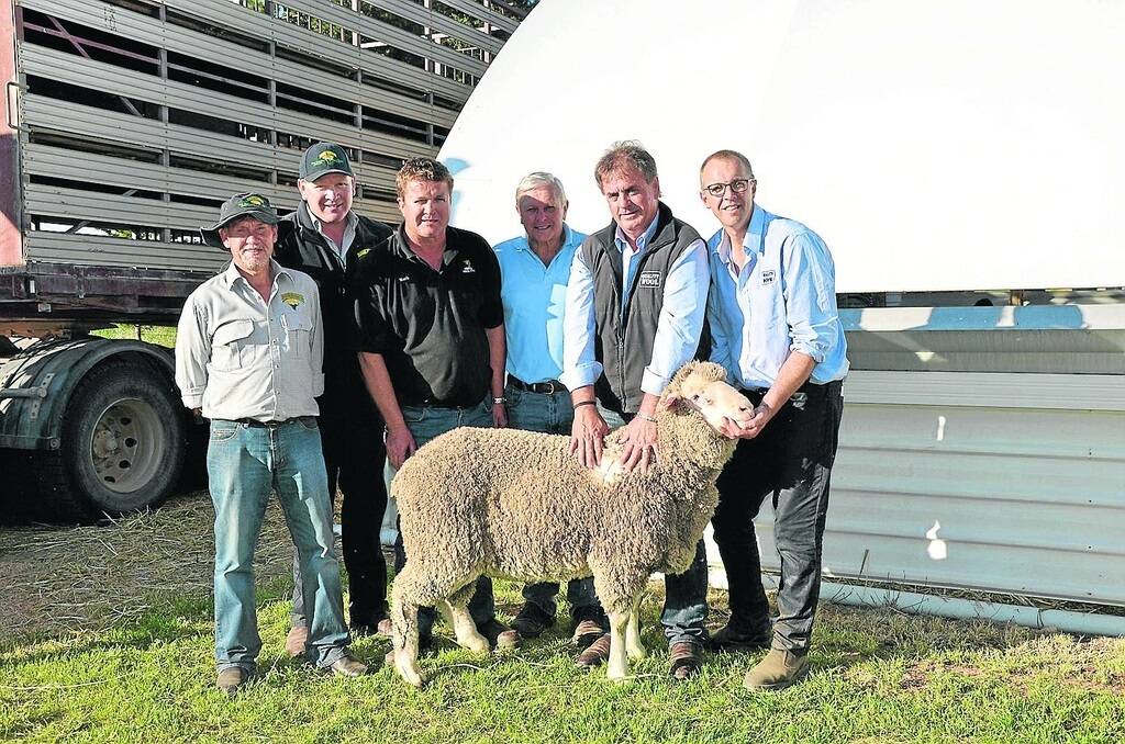 GOOD SHEEP: With Minta’s $4000 top-price ram are EP Livestock & Real Estate’s Mark Bellenger, Tumby Bay; Richard Hill, Cummins; Minta stud principal Mark Hull; buyer Rod Farrow, Woolowie, Wool Bay; Quality Wool’s Laurence Seal, Wudinna; and Quality Wool’s Simon Seppelt, Jamestown.