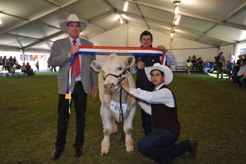 CHAMPION FAMILY: The Grand champion Beef Shorthorn bull with judge Andrew Chapman, Calliope, Qld, exhibited by Scott Bruton, Lake Boga, Vic and held by Ryan Bajada, Gippsland, Vic.