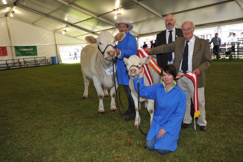 Supreme Charolais exhibit Airlie Rebecca G10F being held by Warren Miller, Bowral, NSW and with her calf is Belinda Dockril, Clovass. Also pictured is judge Colin Rex, Armidale, NSW and sasher John Haigh, Balhannah.