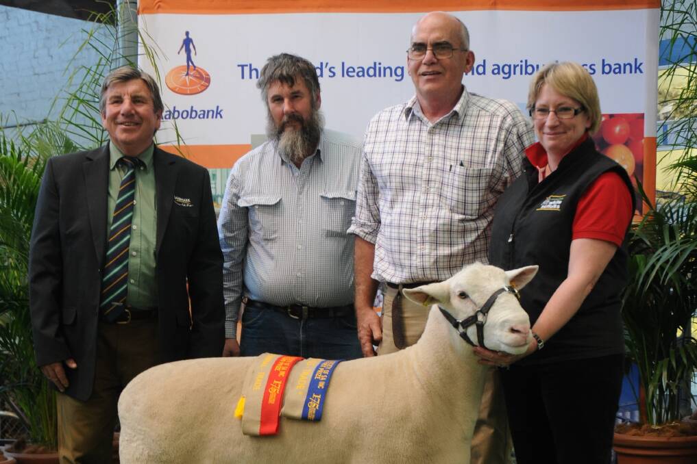 TOP PRICE: Landmark auctioneer Malcolm Scroop, buyer Michael Osborne, Ryeview, Millicent, and vendors Steve and Debbie Milne, Waratah White Suffolks, Branxholme, Vic with the $14,000 top price ram at the Elite Sale.