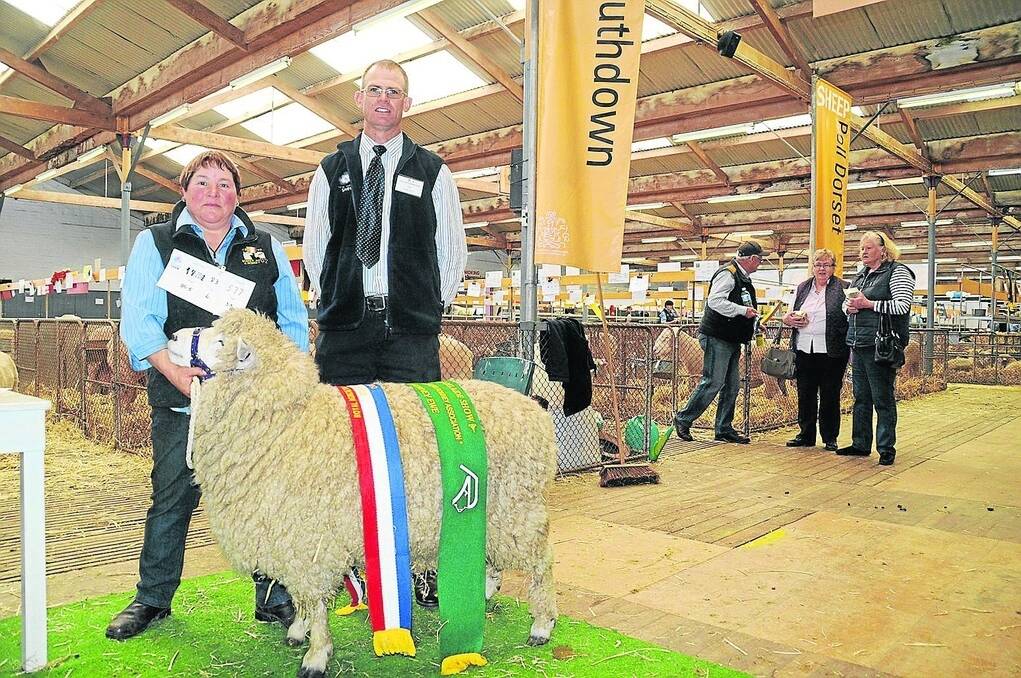 EWE CHAMP: Grand champion Romney ewe with exhibitor Helen Wright, Pebble Stone, Macclesfield, and judge Murray Brown, Forbes, NSW.