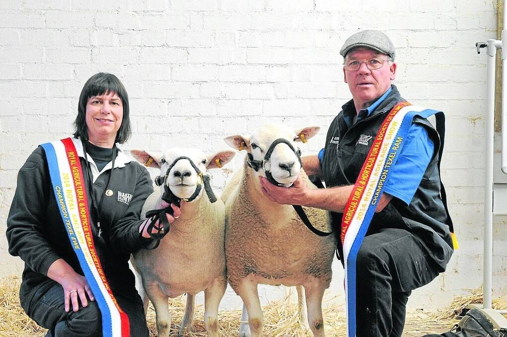 DOUBLE TAKE: Karen and Bill Agne, Willaren stud, Furner, with their champion Texel ram and ewe.