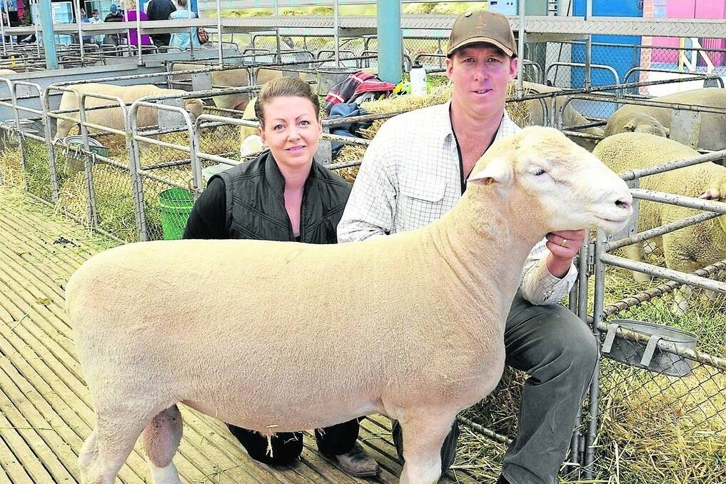 Marianne and Tim Ferguson, Mallee Park stud, Hopetoun, Vic, decided to enter the Royal Adelaide Show in the Poll Dorset's feature year.