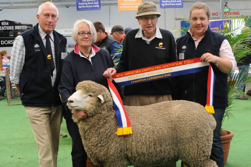 CHAMPION RAM: Corriedale judge Tony Manchester pictured with Jan and Tony Hunt, Wye, Mount Gambier and assistant judge Clare Price.