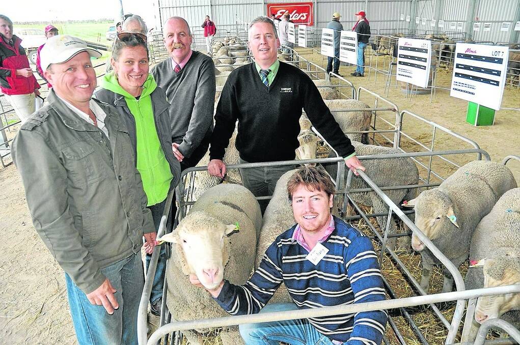 PINDARI BUY: Robin and Mary-Anne Schwartz, Pindari stud, Waterloo, with the $3600 equal top-price ram which they bought from Eric Ashby, Mount Alma stud, Coonalpyn. Also pictured is Elders stud stock marketing manager Tom Penna and Landmark stud stock’s Gordon Wood.