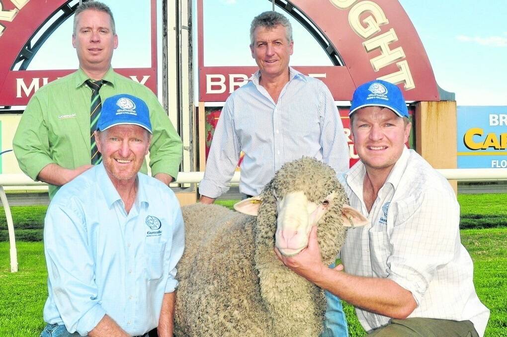 SPARKLING TOP: Ray and Brad Schroeder, Gunallo stud, Pinnaroo, with their $18,000 top-price ram which sold to two WA studs. Semen has been sold to three WA studs. Landmark stud stock’s Gordon Wood and sale coordinator Classings Limited’s Bill Walker are also pictured.