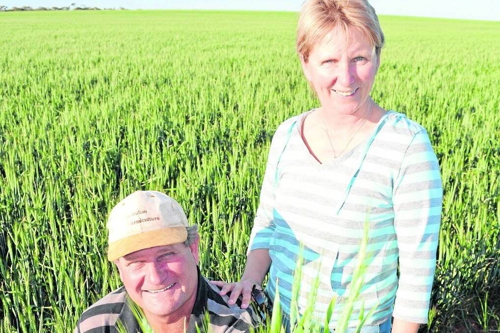 PRODUCT WORKS: Don and Carolin Rankin, Pendrea, Werrimull, Vic, have developed a unique way to retain yields through Australian Vermiculture products.
