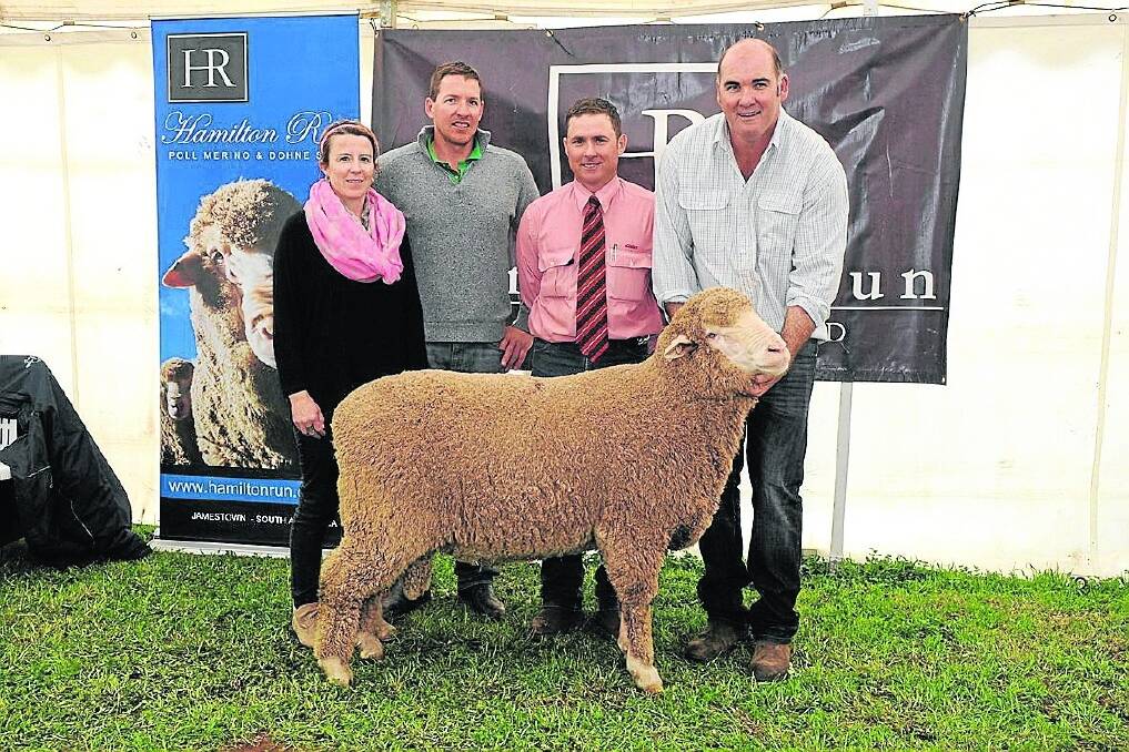 TOP POLL: With the Poll Merino equal-top price ram are Jamestown farmers Shona and Ryan Simpson, Elders stock agent Scott Fleetwood and stud principal Greg Andrews.