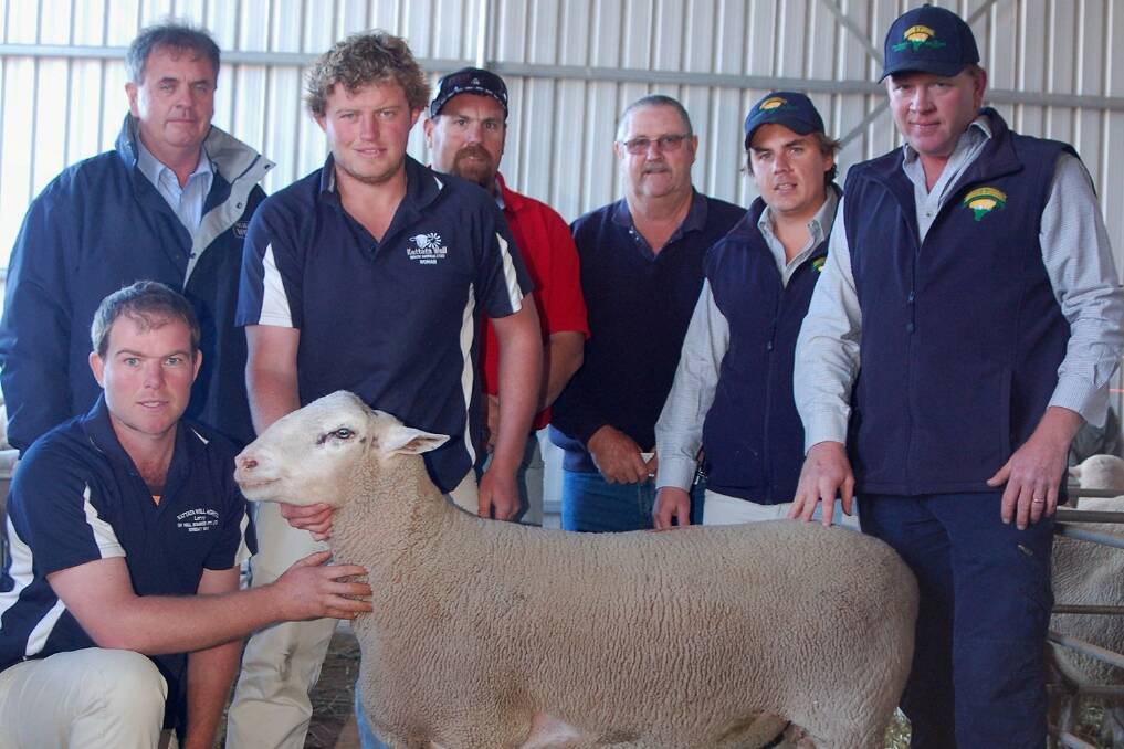 STRONG BIDS: With the $3000 topper are Kattata Well principals Leroy and Rohan Hull (front), Quality Wool’s Lawrence Seal, buyers Ashley and Gus May, Kyancutta, and Ben Dickenson and Richard Hill, EP Livestock, Cummins.