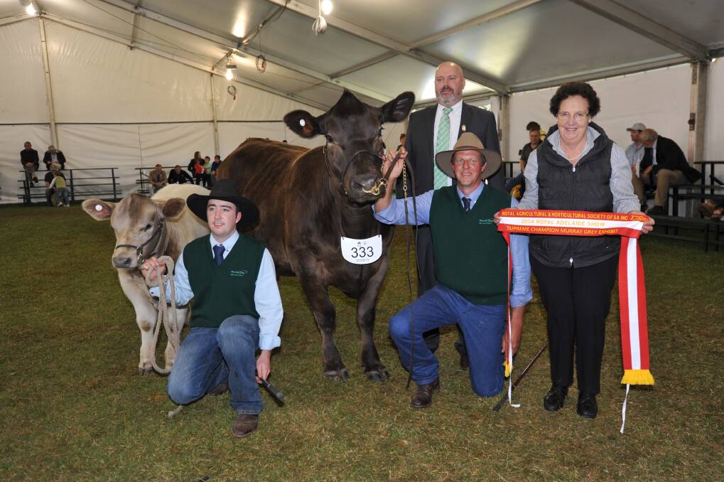 SUPREME FEMALE: Supreme champion Murray Grey exhibit Bottlesford Sarah G32 is sashed by Rosemary Miller, Naracoorte (pictured on the right) with Jake Phillips, Gawler, judge Colin Rex, Armidale, NSW and Bottlesford principal Darren Koopman, Tungkillo.