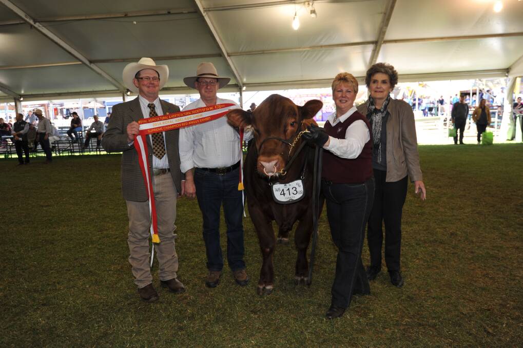 SUPREME RED: Grand champion bull and supreme Red Angus exhibit Raedean Just Cameron J2 is sashed by judge Glenn Trout, Wagga Wagga, NSW, and Ann Hawker, Clare (far right), with proud owners Noel Gnaden and Annette Walker, Raedean stud, Buln Buln, Vic.