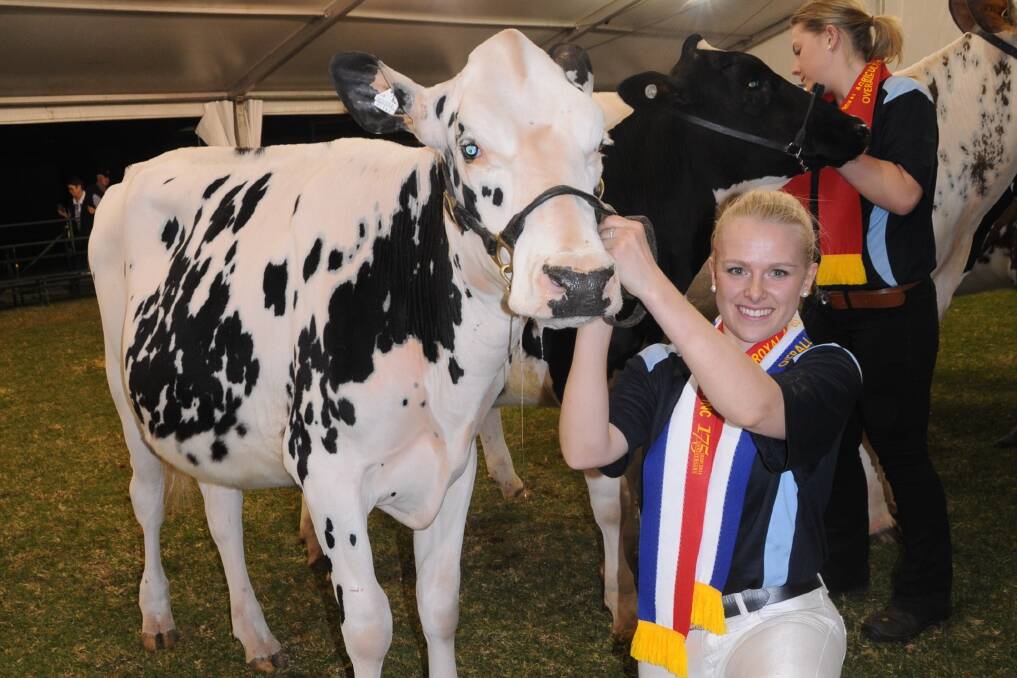 HANDS ON: State winner of the dairy cattle junior handlers competition Casey Treloar, Victor Harbor.