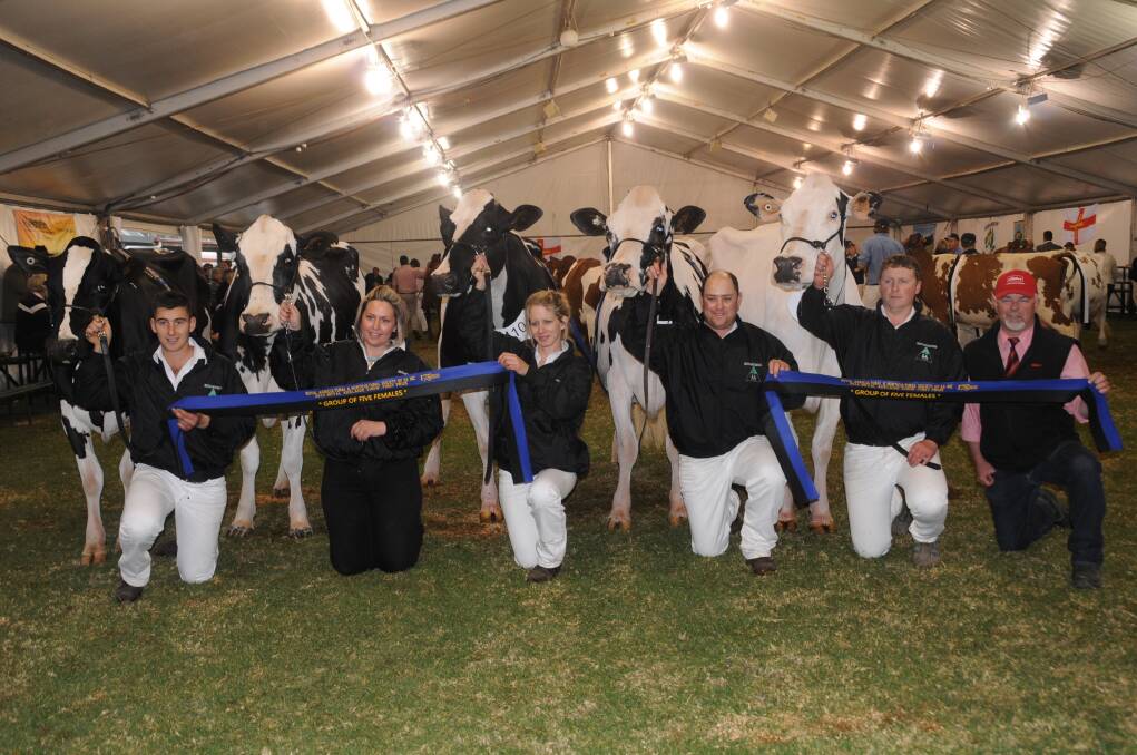 FINE GROUP: The Holstein winning interbreed group of five females.
