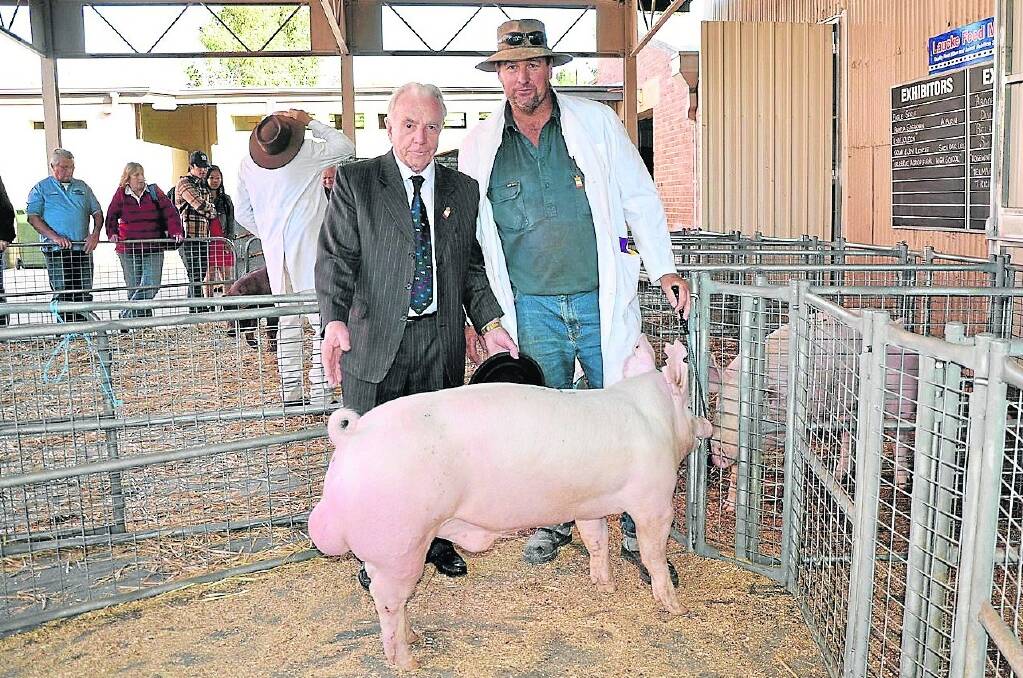 SUPREME PIG: Judge Robert Overend gave supreme pig of the show to Michael Blenkiron for his  Large White from the Gumshire stud, Keyneton.