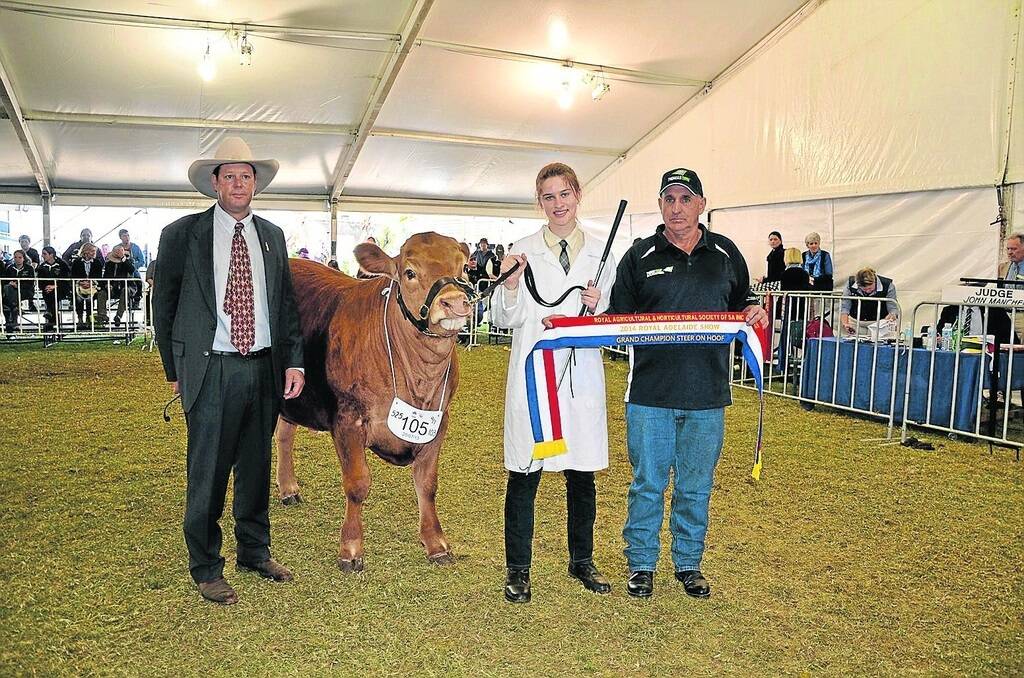 CHAMPION SASHING: With the grand champion steer was judge John Manchee, Manchee Agriculture, Narrabri, NSW; Faith Lutheran College student Nicole Fechner, Angaston and Thomas Farms International’s livestock supervisor Malcolm Pritchard.