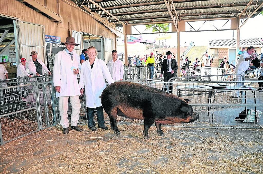 TRUE CHAMP: Judge Richard Cole, Forbes, NSW, with the champion Duroc/Any Other Breed sow, a Duroc exhibited by Louise Smith, Smith Farming, Loxton.