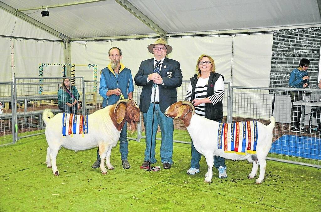 TOP BOERS: With the grand champion Boer buck are Andrew Norris-Green, Moonta, judge Peter Mitchell, Shepparton, Vic, and grand champion winner Melissa Johnson, Onkaparinga Hills.