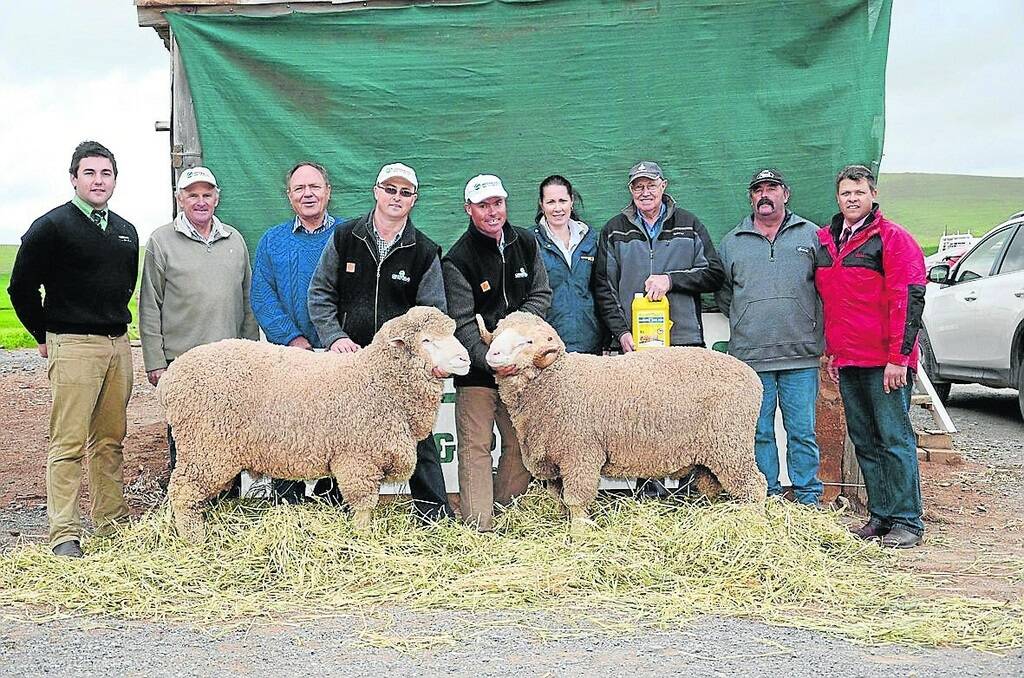 SUPERB SIRES: Landmark Burra’s Murray Bullen; buyers of the $6200 top-price Poll Merino ram Rob Young and Ian Duncan, Longreach Pastoral College, Longreach, Qld; Greenfields’ James Sullivan and Robert Sullivan holding the rams; Coopers representative Julie Christie; buyers of the $9000 topper Eddie and Anthony Burge, Yarrah Nominees, Ceduna; and Elders Burra’s Chris Rains.