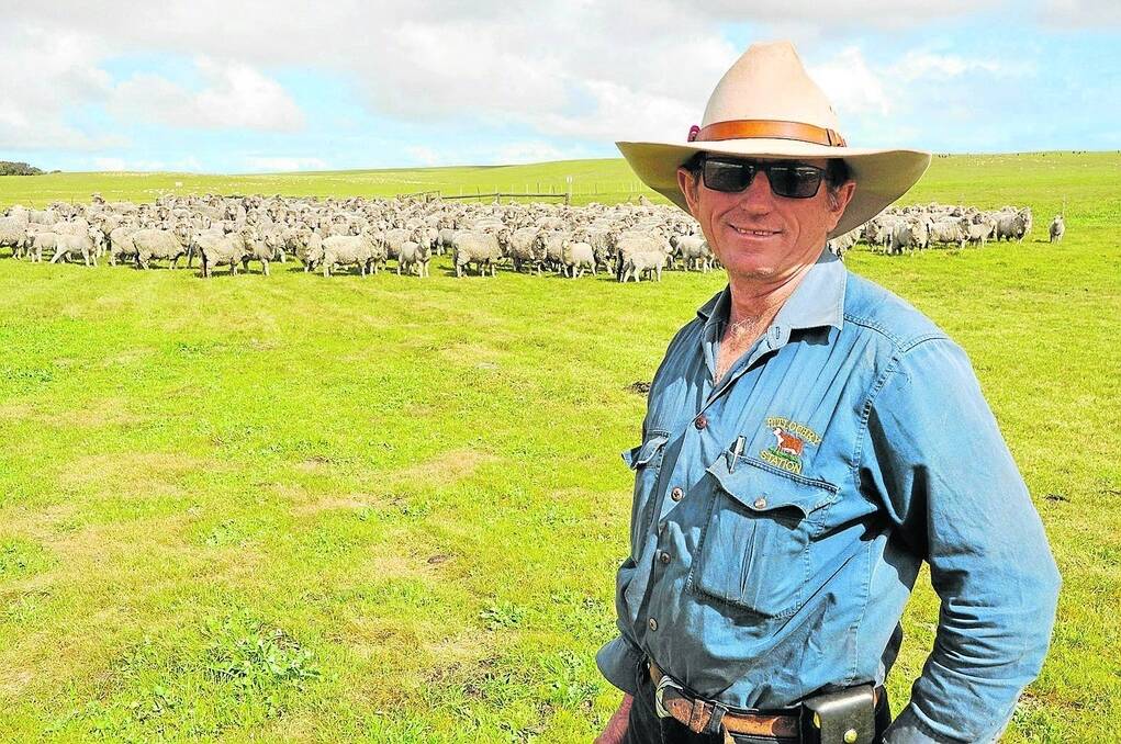 AUCTIONSPLUS SALES: Pitlochry station manager Robert Giles with a flock of Merino ewes and their first-cross lambs. Each year Pitlochry offers its complete drop of Merino-Border Leicester lambs on AuctionsPlus in late October.