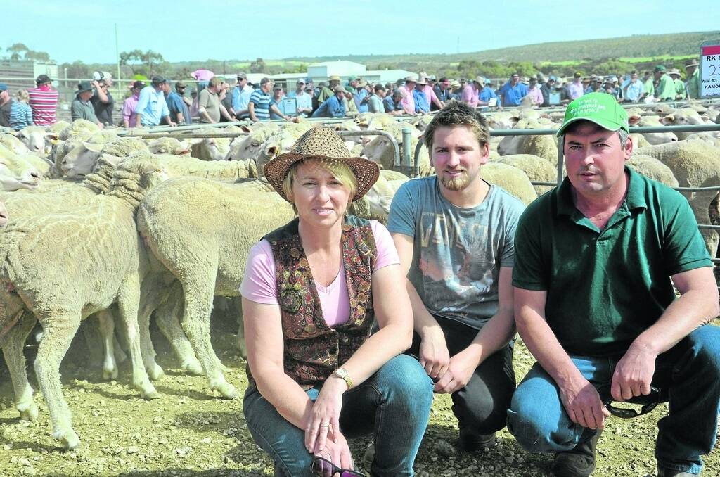 EWE TOPS: Gail, Kyle and Roger Duell, Bowhill, sold 252 April/May 2013-drop ewes, Kamora Park and Radnor-blood, for the top price of $178 at Murray Bridge store ewe sale on September 12. They also sold 192 5.5yo ewes at $102.