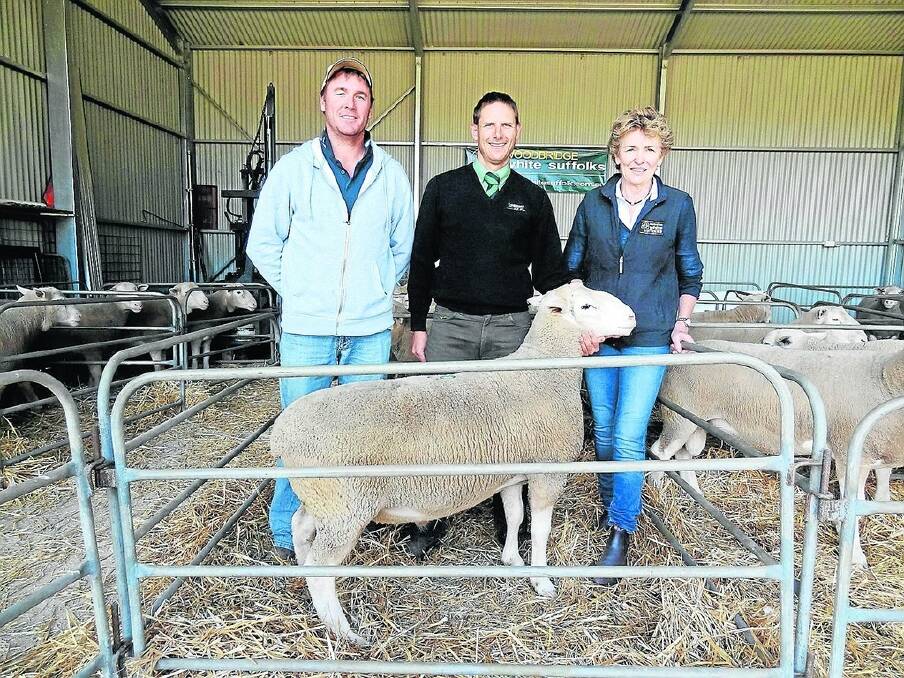 TOP RAM: Shayne Willmott, Dunira Prime Lamb, Manoora, with auctioneer Glen Keast, Landmark Riverton, and owner Penny Holmes with the top price ram.