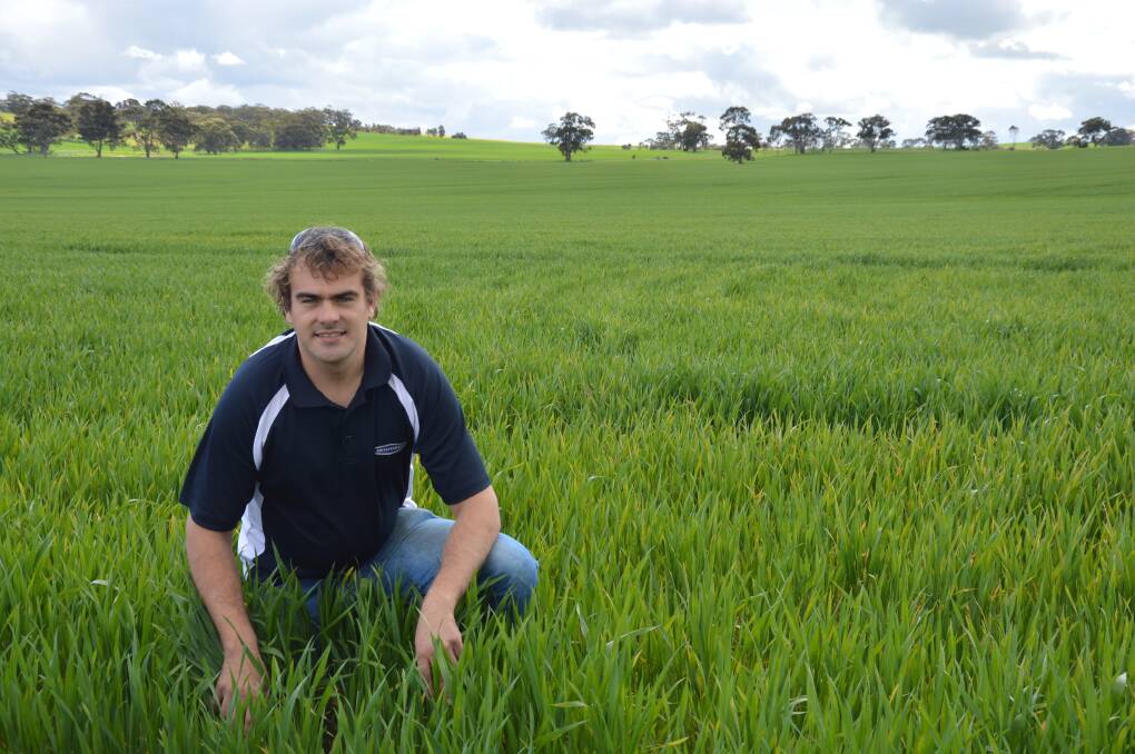 TRUGE ON: AW Vater agronomist Heath Ward says crops around Saddleworth have encountered many challenges this year, but continue to grow well.