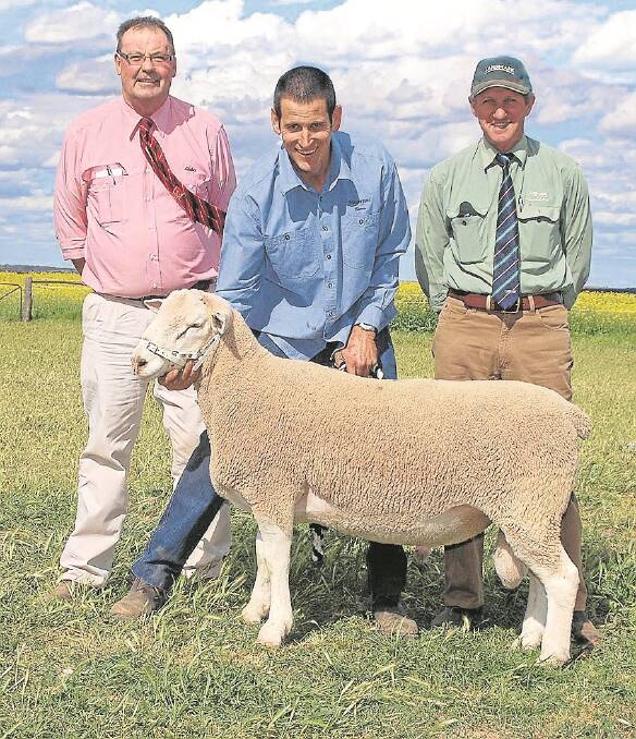 STAR RAM: With the $2100 top-price Galaxy Park ram are Barrie Gale and sale agent representatives Elders'Phil Nagel and Landmark's Kevin Keller.