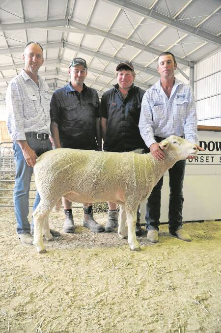 THREE HIGHS: Tim  and John  Hedges, Bugle Downs stud, Keith, with Daniel Rayson, Bungalally Farms, Keith, and Nick Clark, Bergan Park, Keith, who outlaid the $1500 top price three times at the stud’s 11th annual ram sale last week.
