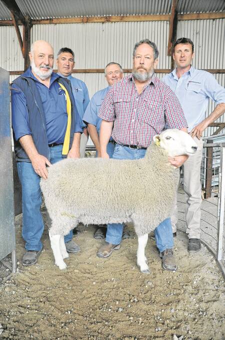 HIGH RANK: Lynton Arney, Inverbrackie Border Leicester stud, Strathalbyn, paid the $1600 top price at the first Castle Camps Border Leicester and White Suffolk sale, from stud principal Ian Carr. They are pictured with Southern Australian Livestock general manager and auctioneer Laryn Gogel; Miller, Whan & John Kingston’s Mike Newton; and SAL Keith’s Adam Bradley.