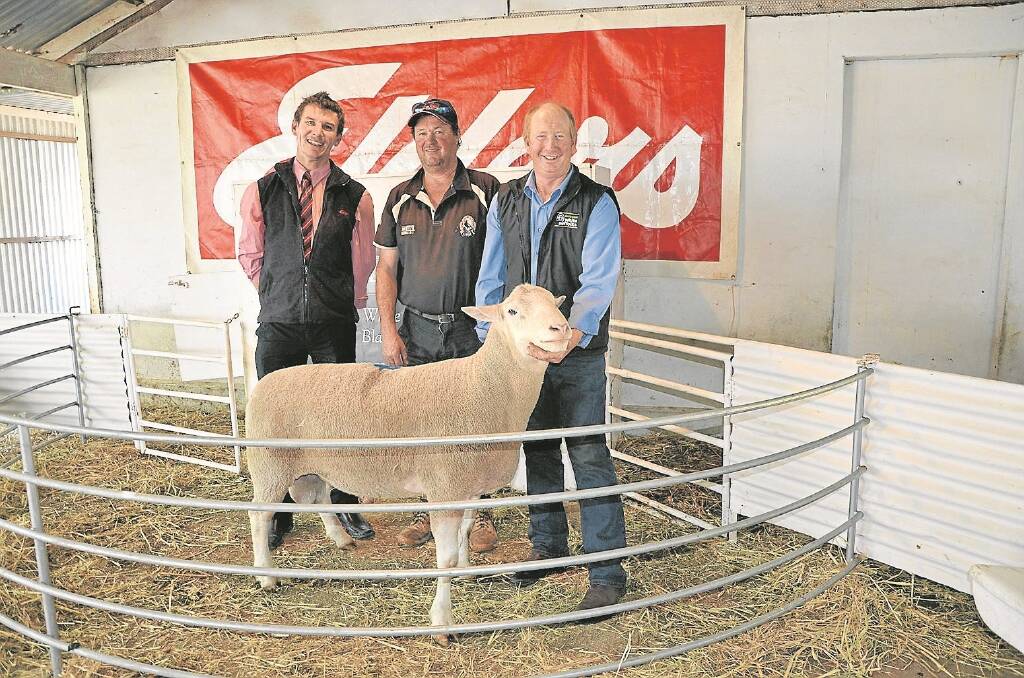 VOLUME BUYER: Elders Minlaton branch manager Adam Pitt with volume buyer Peter Anderson, Holland Park, Stansbury, and Ramsay Park principal Peter Button.