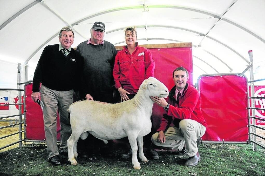 RED HOT: Landmark stud stock Malcolm Scroop, buyer of the top price ram at $2300 Clarrie Bell, Nhill, Vic, Red Rock’s Tanya Edson and Elders Keith’s Steven Doecke.