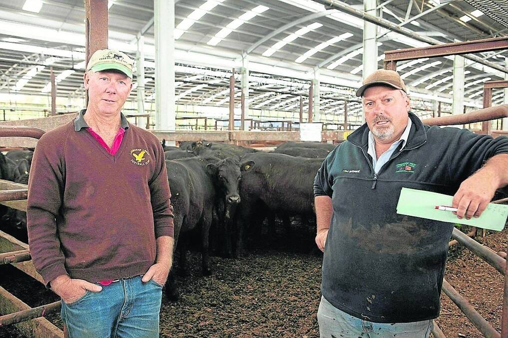 CUTTING BACK: Neil Frith, Frances, and PPHS Naracoorte’s Richard Harvie were cutting back to basics, selling 300 head, with another 500 to sell. They said anything dry will go, autumn calves will go, and anything without a calf will go.