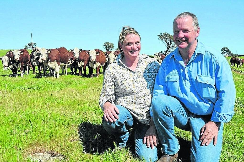 STUD OPPORTUNITIES: Katrina and David Copping, Cannawigra Poll Hereford stud, Avenue Range, are holding a complete female sale on November 17,  representing more than 60 years of whiteface breeding.