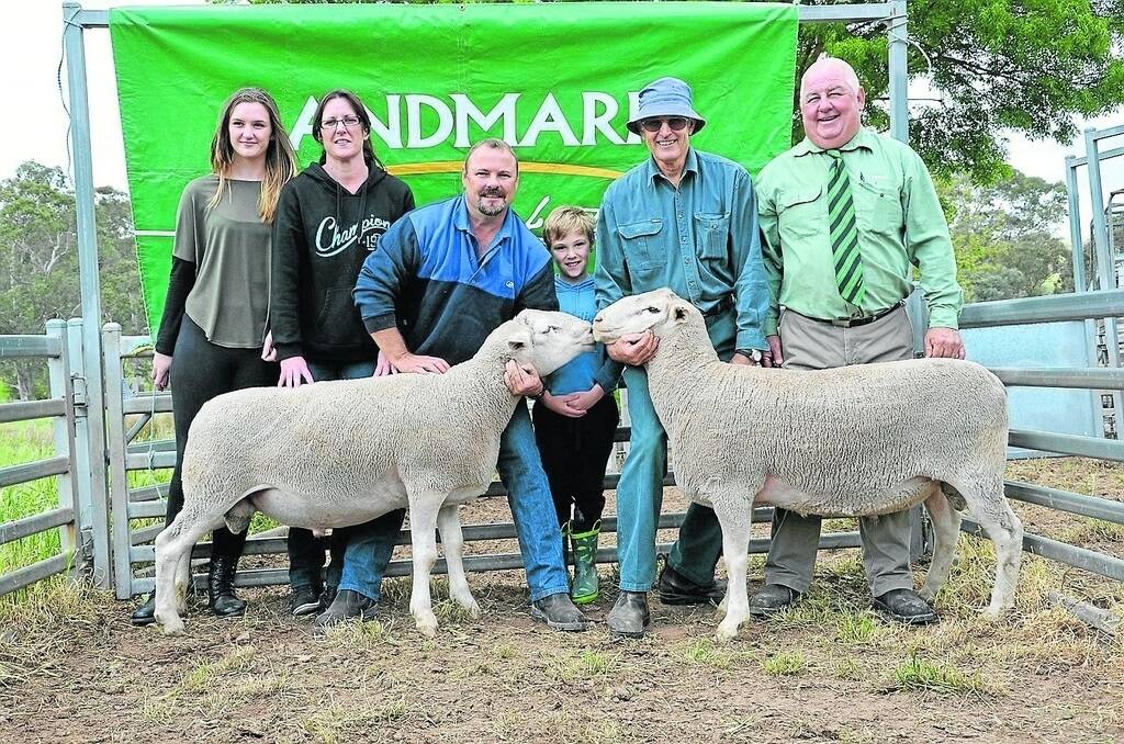 TOP PAIR: Heather and Skye MacDonald, Paramount, Kerbrook; purchaser of the two rams at $1000 Richard Kroehn and son Jay, Sunnyvale Props, Eden Valley; Paramount principal Robert MacDonald and Landmark Anderson & Fawcett’s David Schultz, Mount Pleasant.