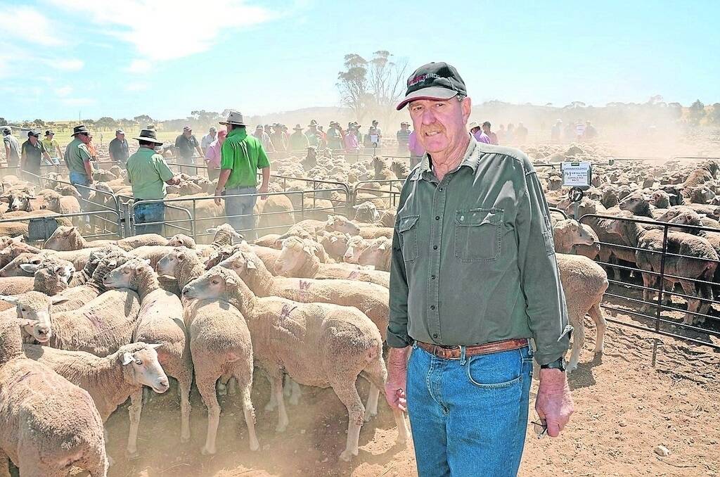 2009-DROP EWES: Peter Wake, Carrawa Holdings, Carpa, sold 149 April/May 2009-drop August-shorn ewes, Glenville-blood, mulesed and tail-stripped at $74.