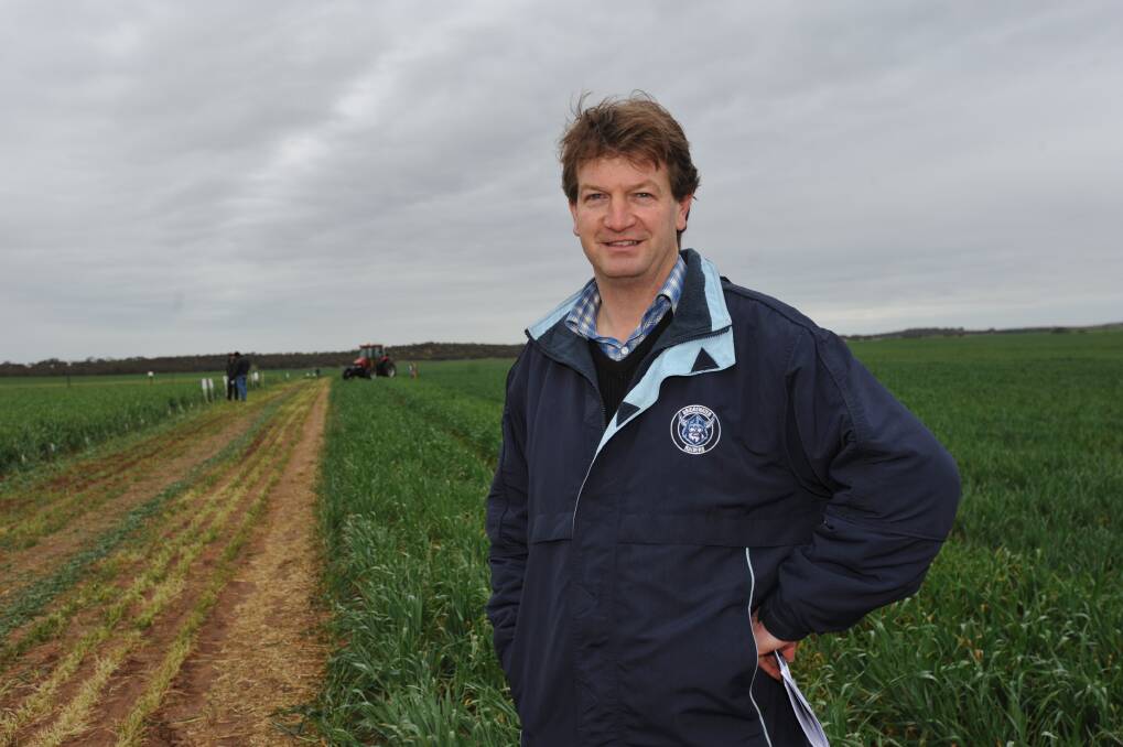 FOLLOW-UP: CSIRO farming systems scientist Rick Llewellyn in the Karoonda trial plot that aims to see if planting on or near the row from last year’s crops has the potential to improve crop establishment on sandy soils.