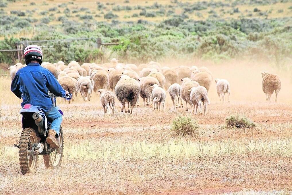 TOUGH TERRAIN: Livestock SA and pastoralists want answers to their questions concerning the Pastoral Board's abolishment.