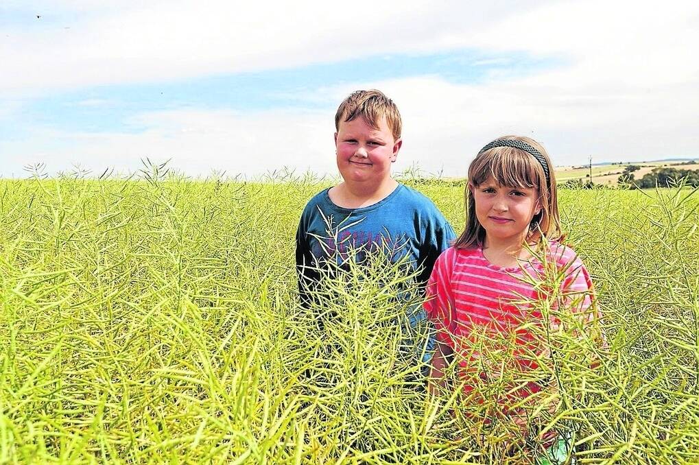 GOING STRONG: Mitchell and Sophie Orrock, Melrose, in a canola crop on their Remarkable View farm at Melrose that has held on after a good start, reflecting the situation in other crops in the Upper North.
