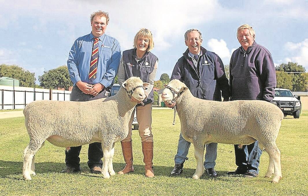 RAM TOPPERS: It was all smiles for Leenala principals Lyn and Alan Schinckel who hold their two top price rams from the Leenala-Wrattenbullie Poll Dorset ram sale at Naracoorte, with SAL auctioneer Matthew MacDonald and livestock consultant Leigh Allan. 