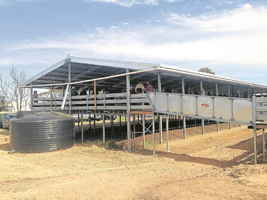 OWNER'S PRIDE: Glenlea Park's new ram shed was a big attraction at its 50th annual ram sale in August. A detachable ramp connects it with the dome shelter that is also used to house rams on sale day.