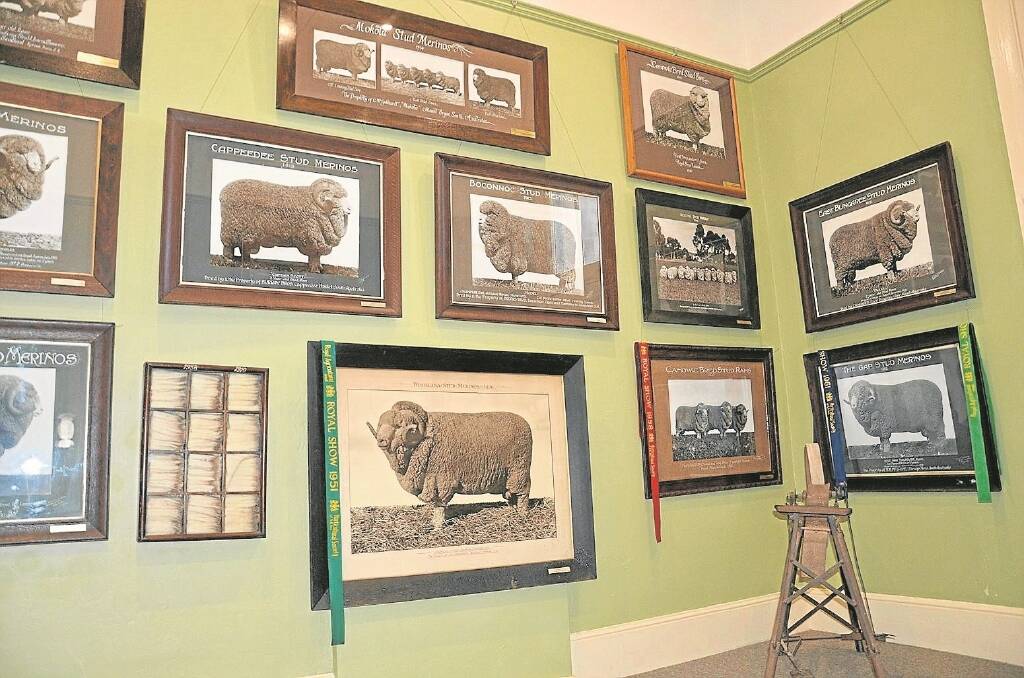 RICH HISTORY: Photos of many stud Merino sheep from noted studs in the Burra district line the walls of the Pascoe Collection room at Burra Town Hall.