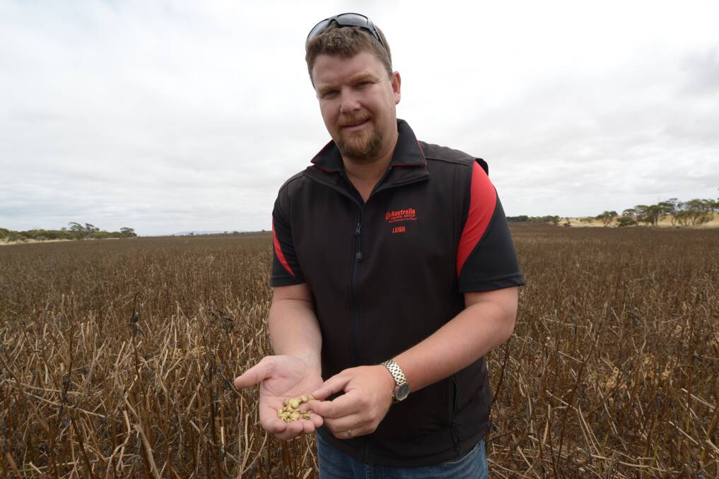 MARKET CONCERN: Australian Mining Group grain buyer Leigh Wright says the company is concerned about changes to faba bean receivals, saying they could jeopardise premiums extracted from overseas markets.