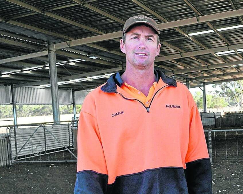 WHY NOT? South East farmer Charlie Koch says Viterra's changes to faba bean deliveries this season would prevent excessive delivery times and issues of "over-classification".