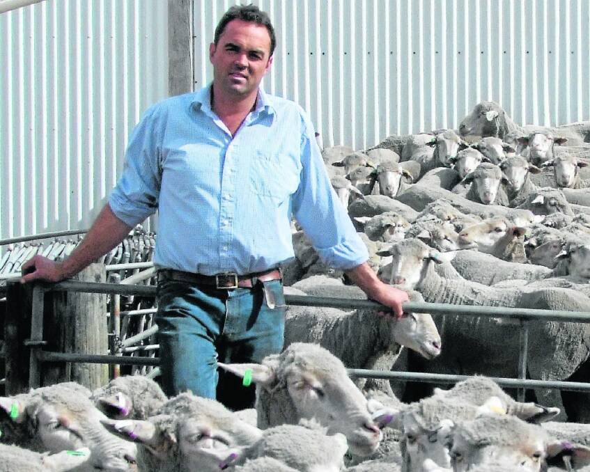 Southrose Merino and Poll Merino stud principal Jono Ashby with some of the sale ewes which will be offered at their on-property dispersal sale on December 8 at Tintinara.
