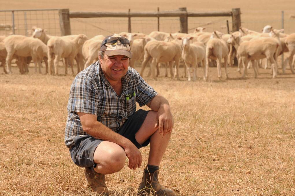 Ian Sparks, Munduney Props, Spalding, who will be sending 1000 ewe lambs to Naracoorte for the third successive year, says it is the prime location for first-cross ewe sales. "They get a good number of ewes, which brings plenty of buyers," he said.